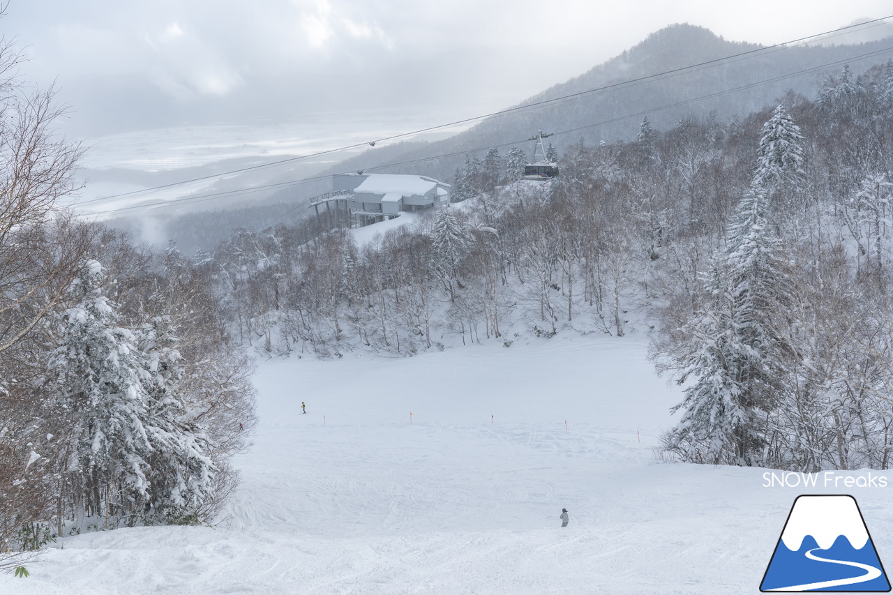 富良野スキー場｜たっぷりの『bonchi powder』が降り積ったゲレンデ…。富良野の雪は、ちょっとレベルが違います♪